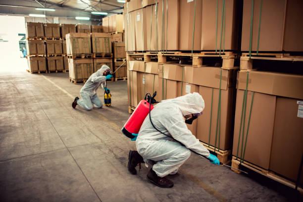 Best Pest Control Cost  in Lavallette, NJ