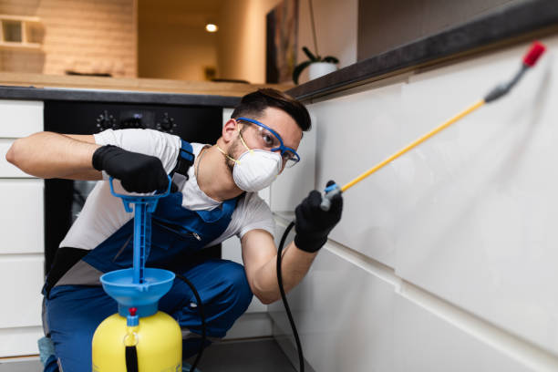 Best Local Pest Control Services  in Lavallette, NJ