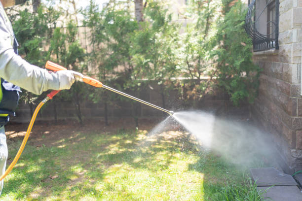 Best Wasp Removal Services  in Lavallette, NJ