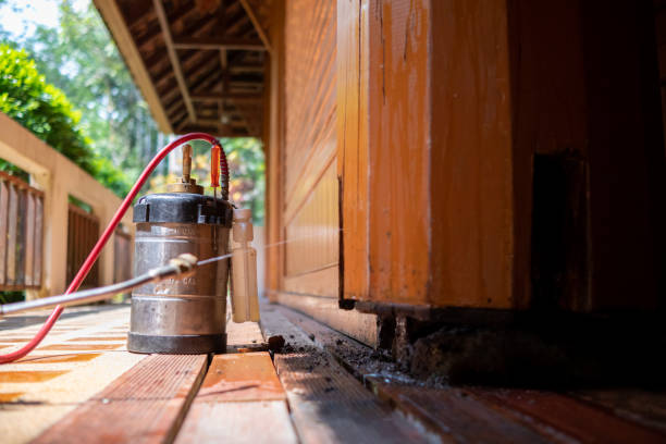Best Mosquito Control Services  in Lavallette, NJ