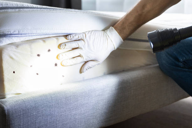 Pest Control for Restaurants in Lavallette, NJ
