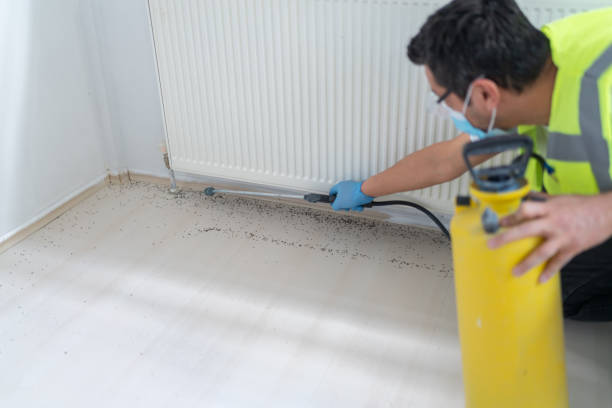 Best Emergency Pest Control  in Lavallette, NJ